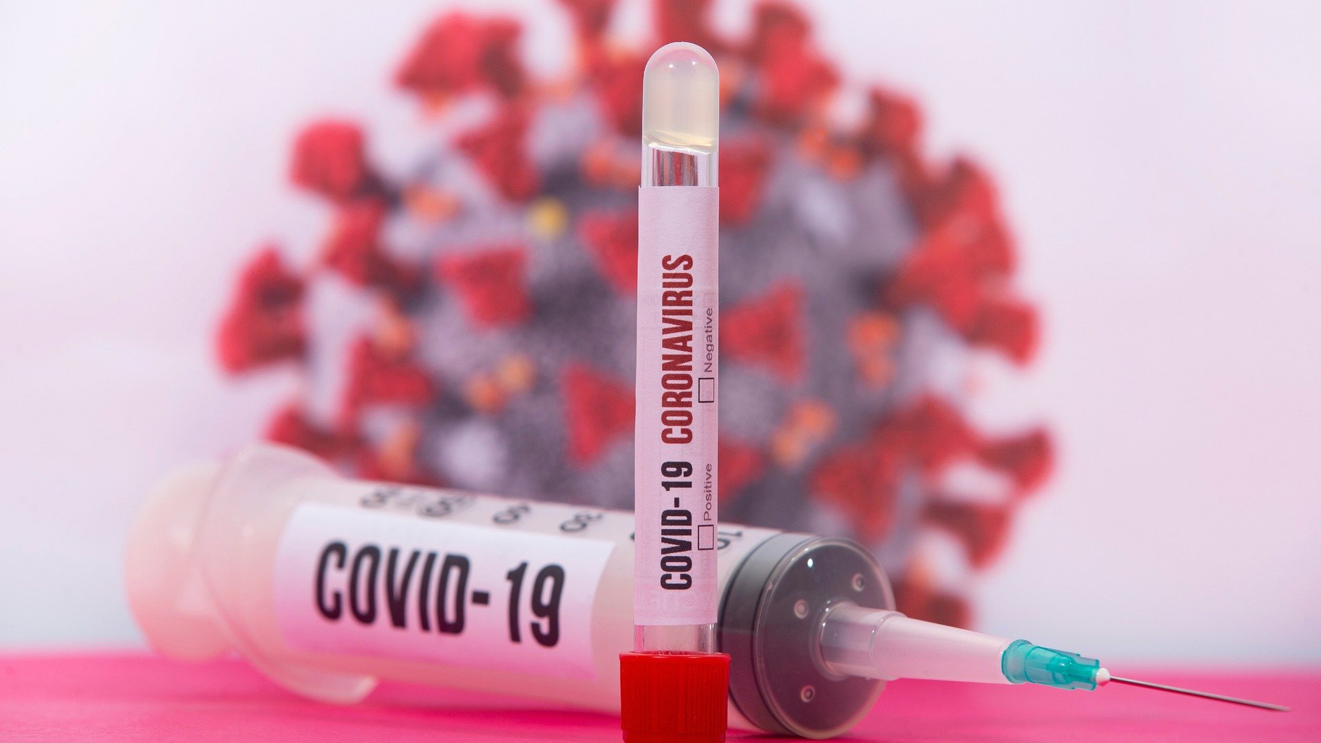 Muestra extracción sangre para test ELISA