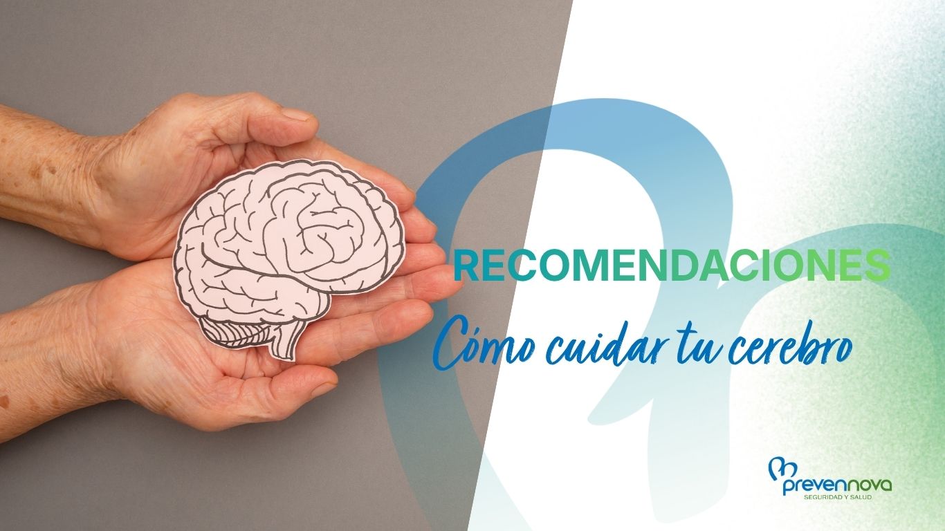 Cómo cuidar el cerebro